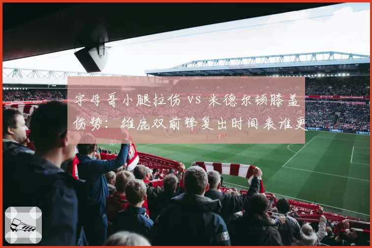 字母哥小腿拉伤 vs 米德尔顿膝盖伤势:雄鹿双前锋复出时间表谁更紧迫