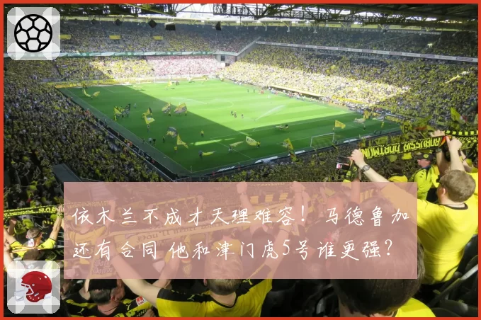 依木兰不成才天理难容!马德鲁加还有合同 他和津门虎5号谁更强?