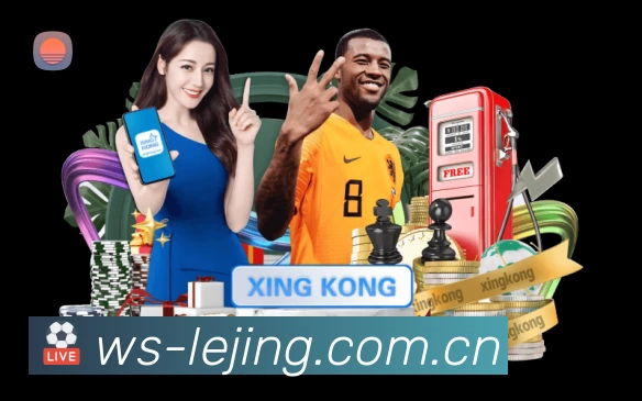 库里与利拉德生涯季后赛绝杀成功率及出手分布对比分析